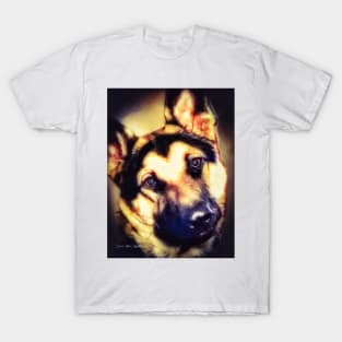 You Looking At Me?  -  Graphic 3 T-Shirt